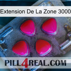 Exten Zone 3000 13